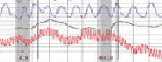 Bakersfield polygraph